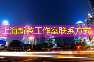 参与上海茶庄的互动茶会